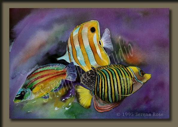 Beautiful signed prints of very colorful tropical fish