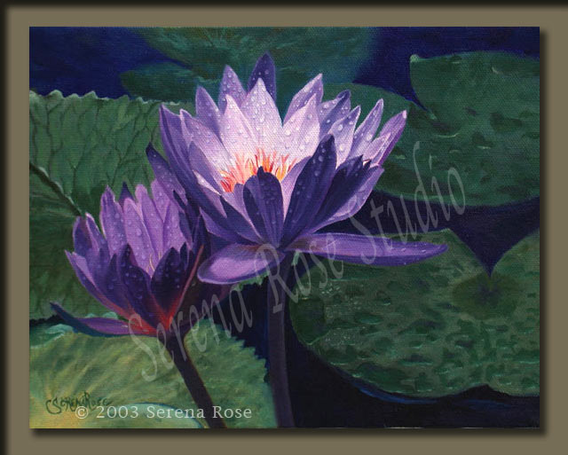 oil painting by Serena Rose, artwork of two water lily blooms with morning dew