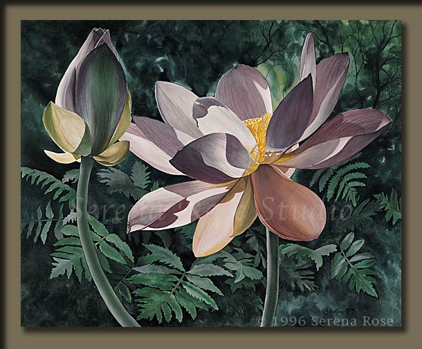 Watercolor by Serena Rose, Magic of Light